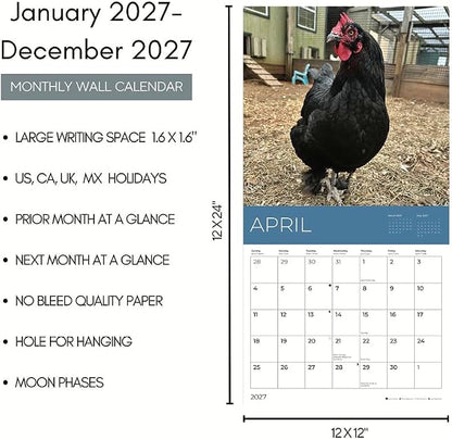 Rescue Chickens 2027 Wall Calendar, 12 x 24 Hanging Pacific Waters Press