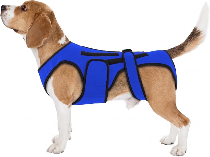 Back Brace for Dogs with Strong Spine Stability Support, Blue L | IVDD Mobility Back Brace for Pet, Breathable & Adjustable for Joint & Hip Support Senior or Less Mobile Dogs