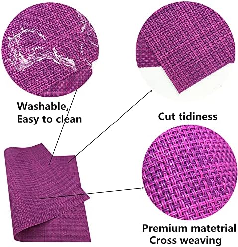 WAZAIGUR Placemats Crisscross Woven Vinyl Place Mats Set of 6 Purple