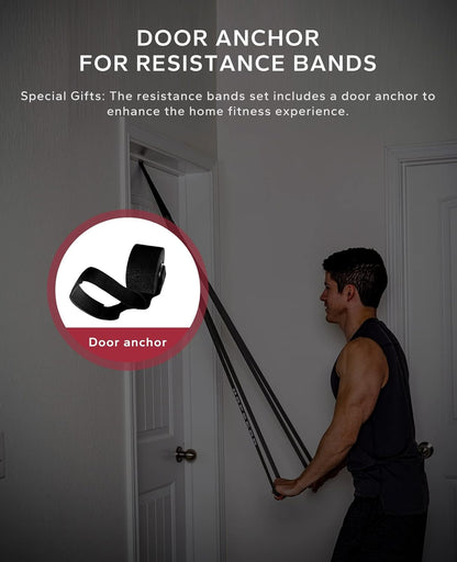 HAPBEAR Pull Up Assistance Bands Set of 5 - Resistance Bands for Working Out, Stretching, Physical Therapy, Muscle Training