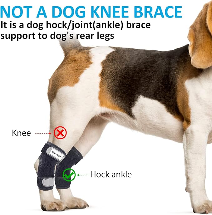 Dog Leg Braces for Rear Legs, Hock Brace for Back Legs with Metal Strips and Safety Reflective Straps for Short Legs, Joint Warps Support for Hind Legs Injuries Sprains Arthritis (Small(1Pair))