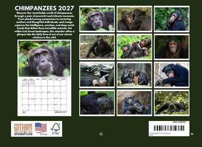 Chimpanzee Calendar 2027 Monthly Wall Calender 12 Month