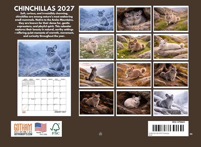 Chinchilla Calendar 2027 Monthly Wall Calender 12 Month