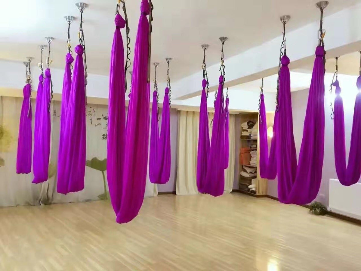 F.Life Aerial Silk Yoga Hammock & Swing for yoga Inversion,Strength training,starter hardware kit