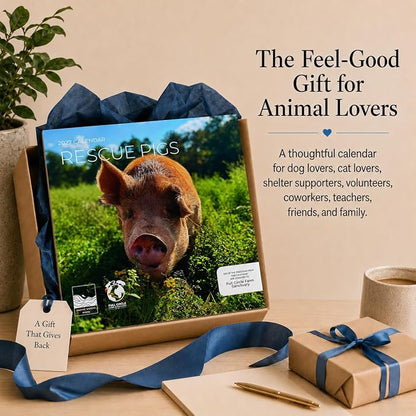 Rescue Pigs 2027 Wall Calendar, 12 x 24 Hanging Pacific Waters Press