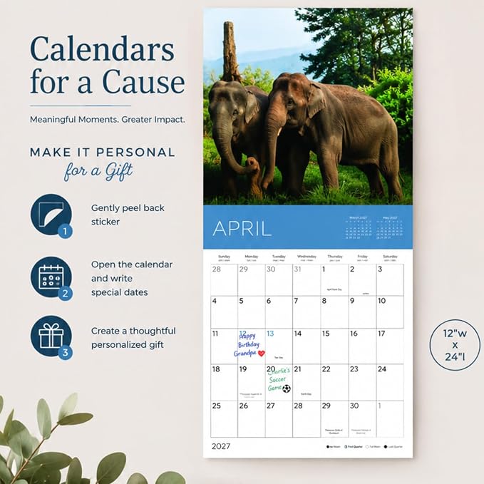 Rescue Chickens 2027 Wall Calendar, 12 x 24 Hanging Pacific Waters Press