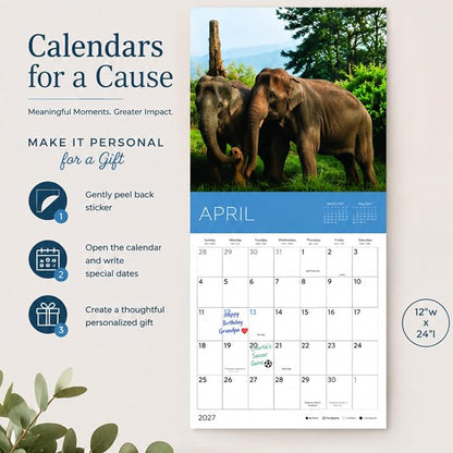 Rescue Chickens 2027 Wall Calendar, 12 x 24 Hanging Pacific Waters Press