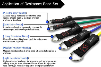 TheFitLife Resistance Bands with Handles - Designed for American Body Types, Exercise Workout Tubes for Men, Women, Includes Large Handles, Ankle Straps, Door Anchor, Fitness Levels