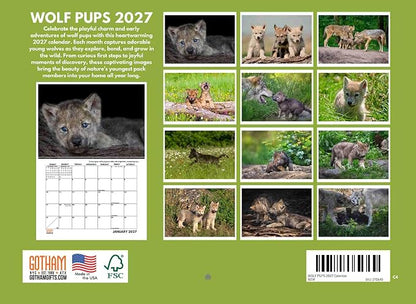 Wolf Pup Calendar 2027 Baby Wolves Monthly Wall Calender 12 Month
