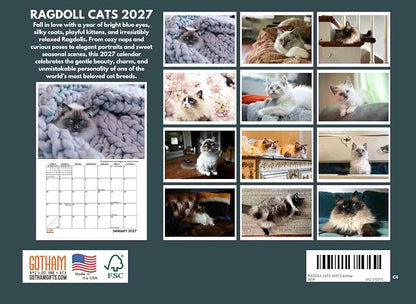 Ragdoll Cat Calendar 2027 Monthly Wall Calender 12 Month