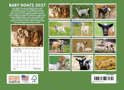 Baby Goat Calendar 2027 Monthly Wall Calender 12 Month