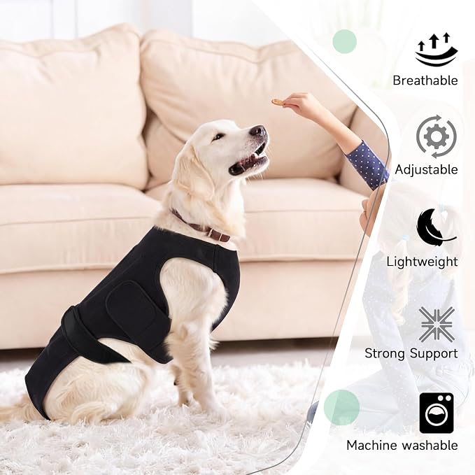 Back Brace for Dogs with Strong Spine Stability Support, Black S | IVDD Mobility Back Brace for Pet, Breathable & Adjustable for Joint & Hip Support Senior or Less Mobile Dogs