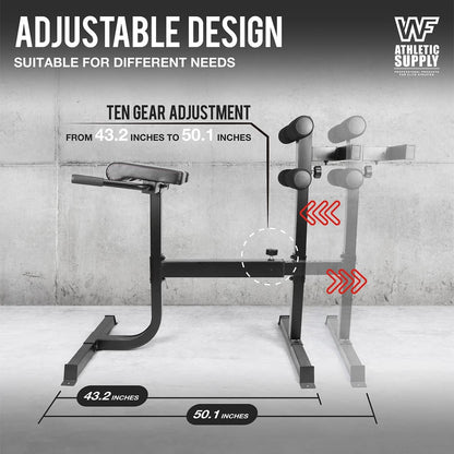 CAPHAUS Adjustable Hyperextension 90 Degree Strength Roman Chair with Handle, Ab Bench Multi-Functional Weight Bench, Muscle Strength Training Fitness Back Machines for Full Body Workout