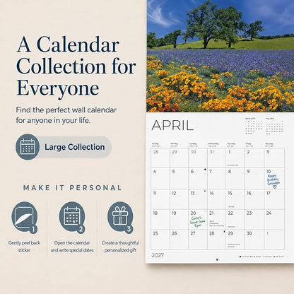 Donkeys 2027 Wall Calendar, 12 x 24 Hanging Pacific Waters Press
