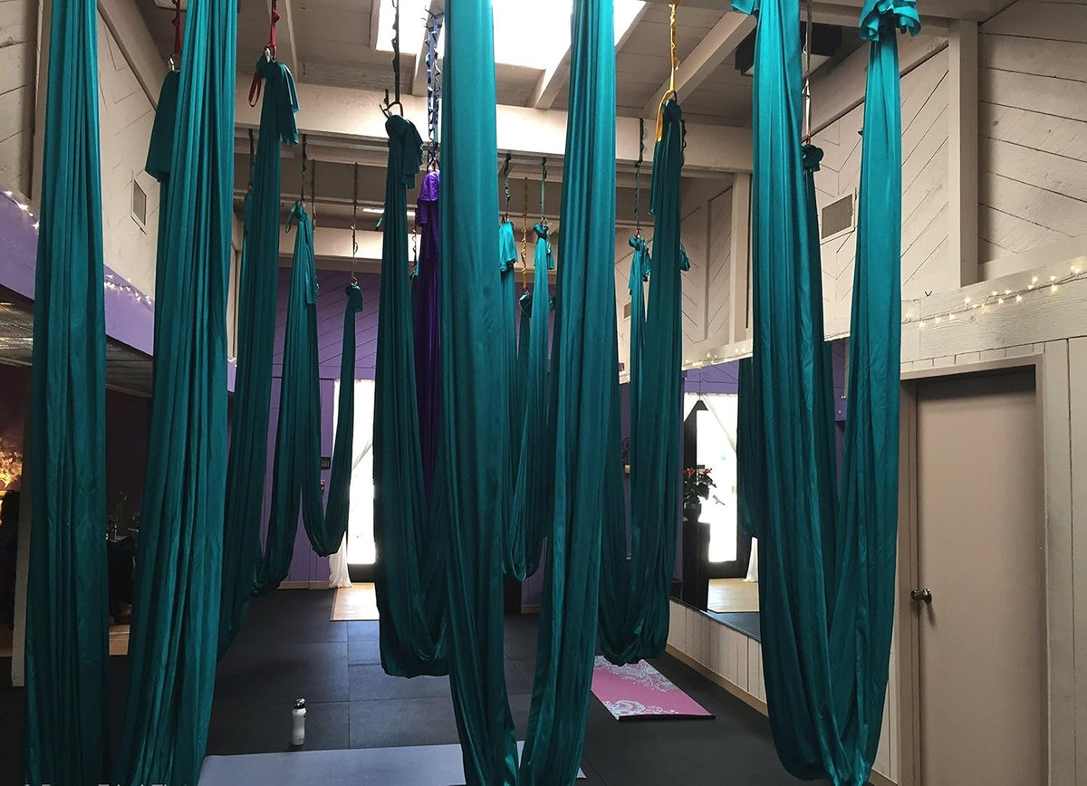 F.Life Aerial Silk Yoga Hammock & Swing for yoga Inversion,Strength training,starter hardware kit
