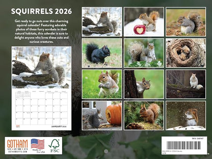 Squirrel Calendar 2026 Wall 12 Month Squirrels Gifts For Squirrel Lovers Women Men Monthly Calender| American Made In The USA