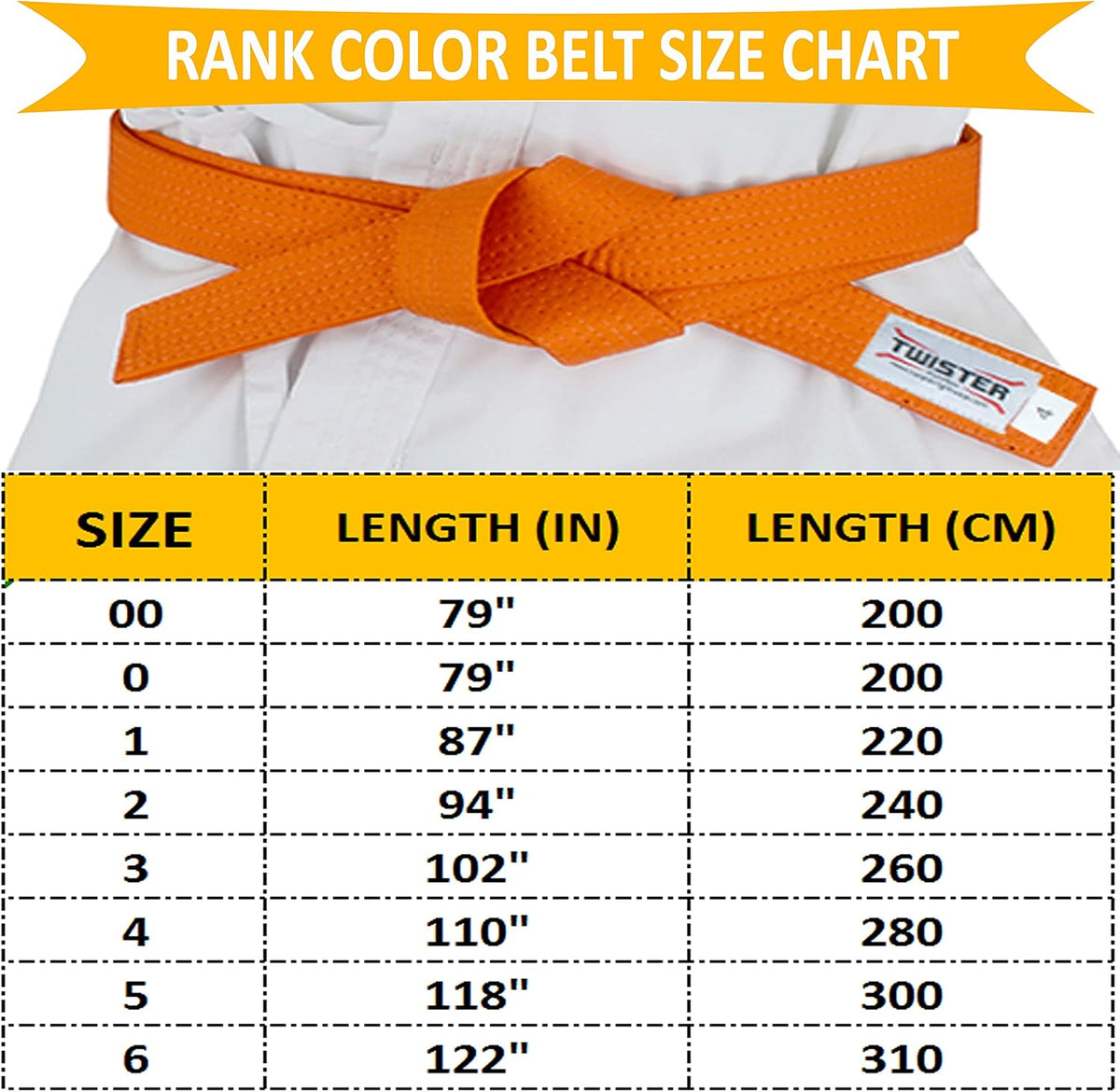 TWISTER Rank Belts for Martial Arts, Karate, Aikido, Taekwondo, Judo | Premium Cotton | Strong & Vibrant Colors