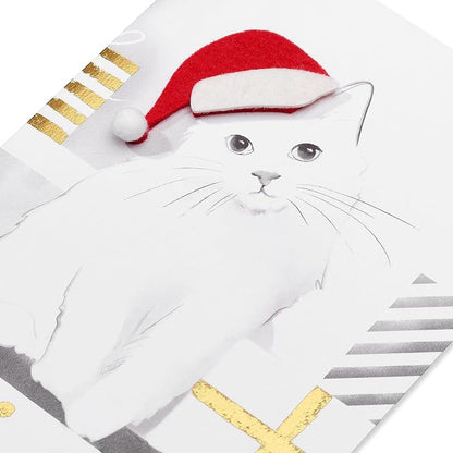 Papyrus Cat Christmas Cards Boxed with Envelopes, Merry Christmas and a Happy New Year, Santa Hat Kitty (8-Count)