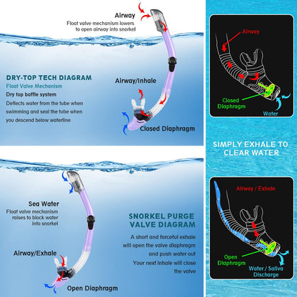 ZEEPORTE Mask Fin Snorkel Set, Travel Size Snorkeling Gear for Adults with Panoramic View Anti-Fog Mask, Trek Fins, Dry Top Snorkel and Gear Bag for Swimming Training, Snorkeling Kit Diving Packages