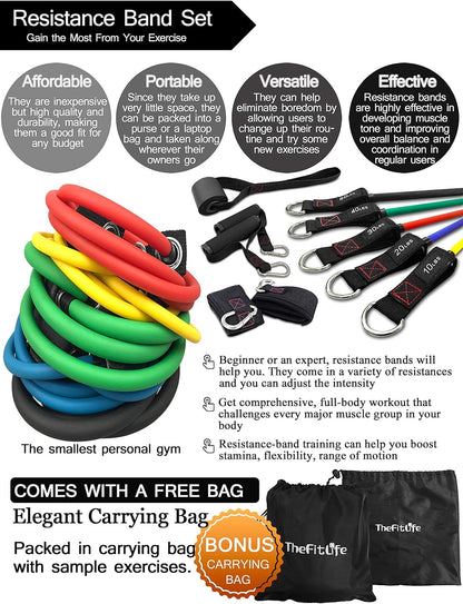 TheFitLife Resistance Bands with Handles - Designed for American Body Types, Exercise Workout Tubes for Men, Women, Includes Large Handles, Ankle Straps, Door Anchor, Fitness Levels